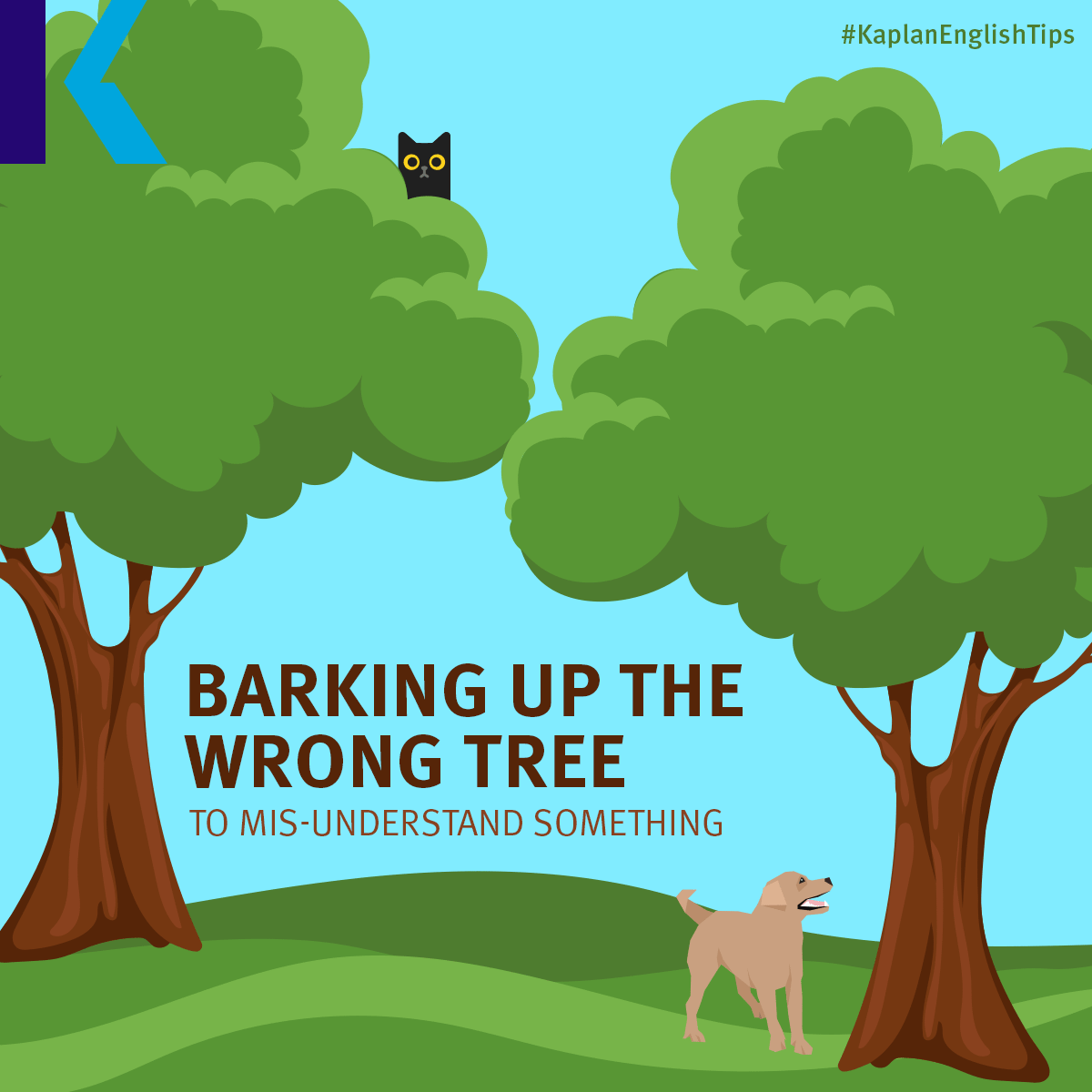 Nature idioms – Barking up the wrong tree